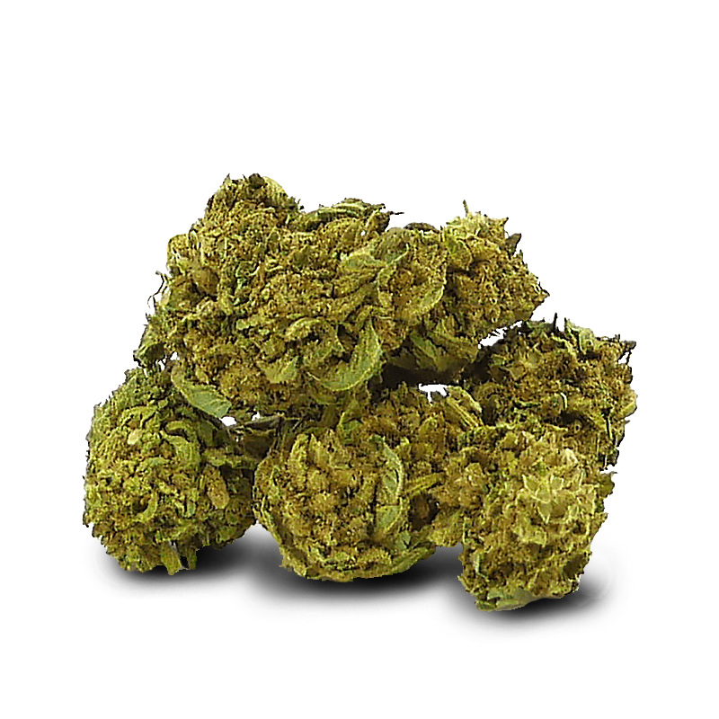 Amnesia