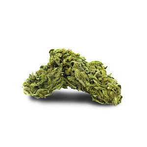 Northern Lights