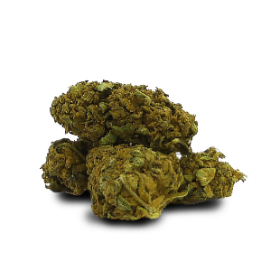 Compton Kush