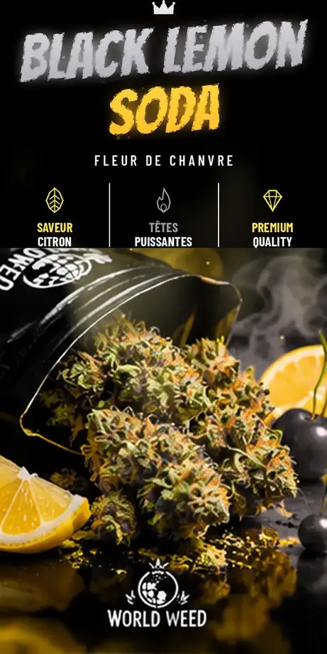 Black Lemon Soda — fleurs CBD WorldWeed
