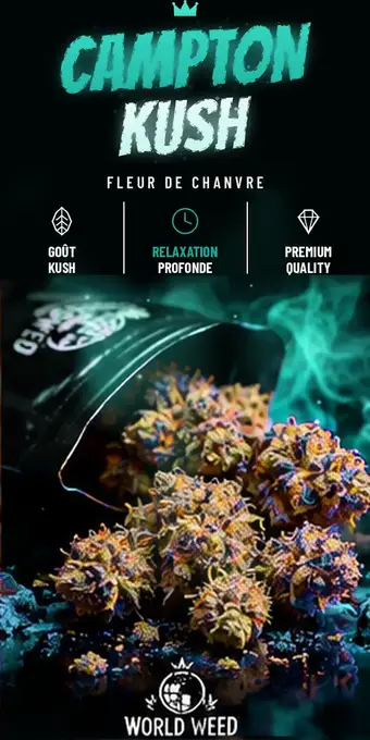 Campton Kush — fleurs CBD