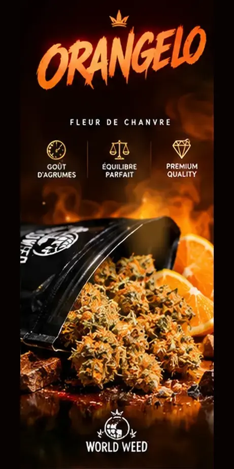 Orangelo — fleurs CBD WorldWeed