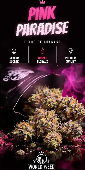 Pink Paradise — fleurs CBD