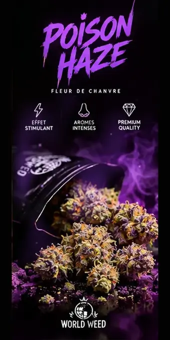 Poison Haze — fleurs CBD