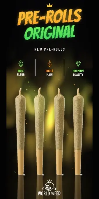 Pre-Rolls Original — pré-roulés CBD