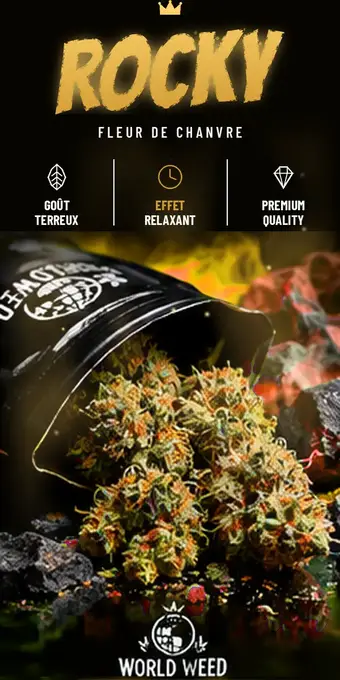 Rocky — fleurs CBD