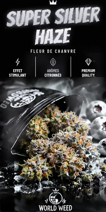 Super Silver Haze — fleurs CBD