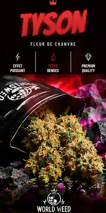 Tyson — fleurs CBD